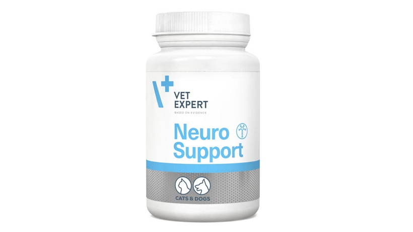 neurosupport (1)